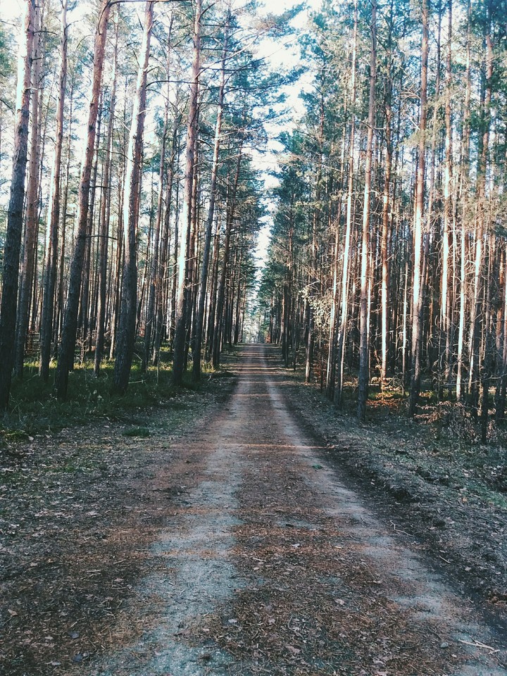 Instagram: @anna11200