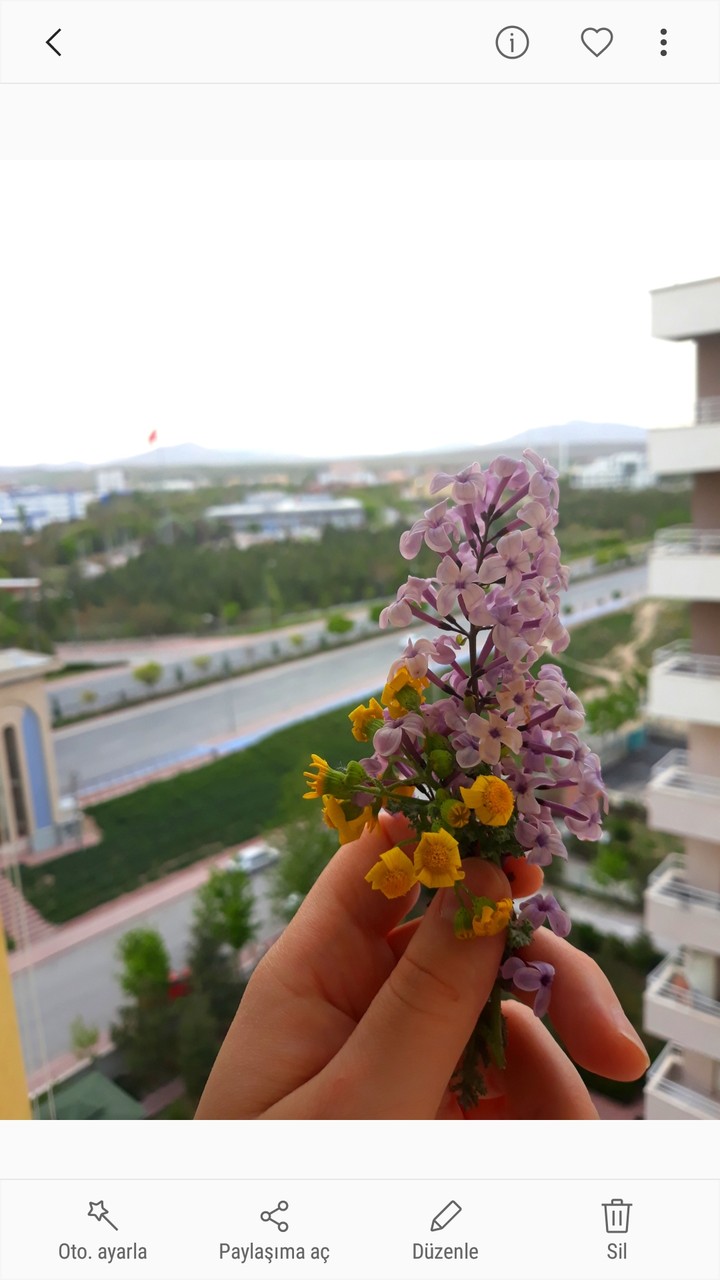 çiçek