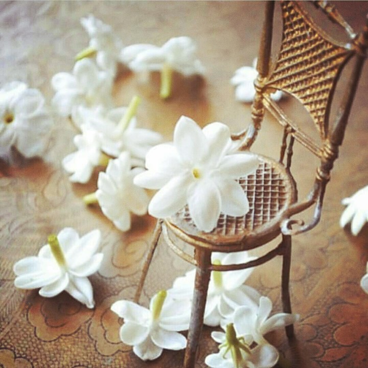 #jasmine