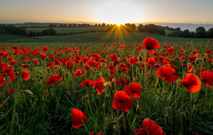 Nature's Beauty