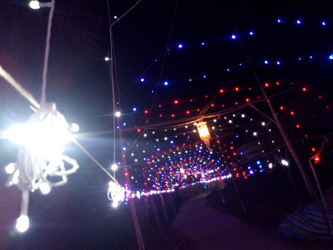lights
