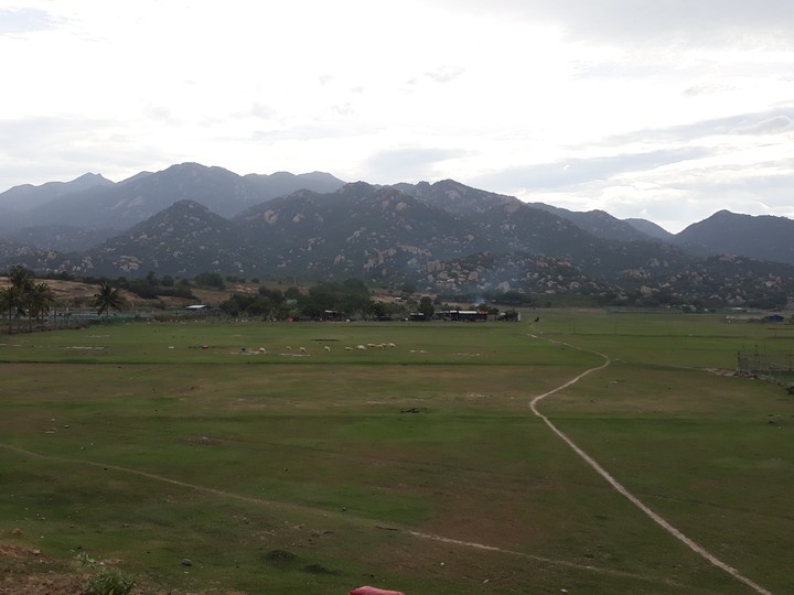 Field
