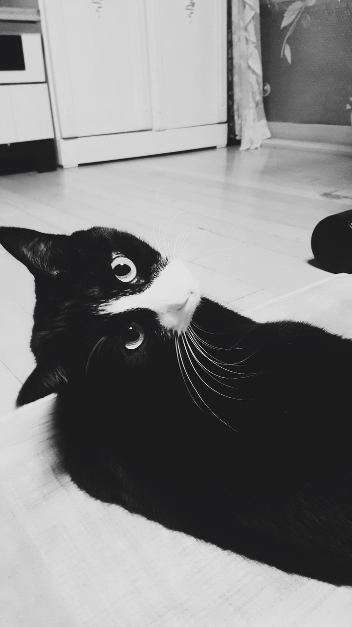 Him