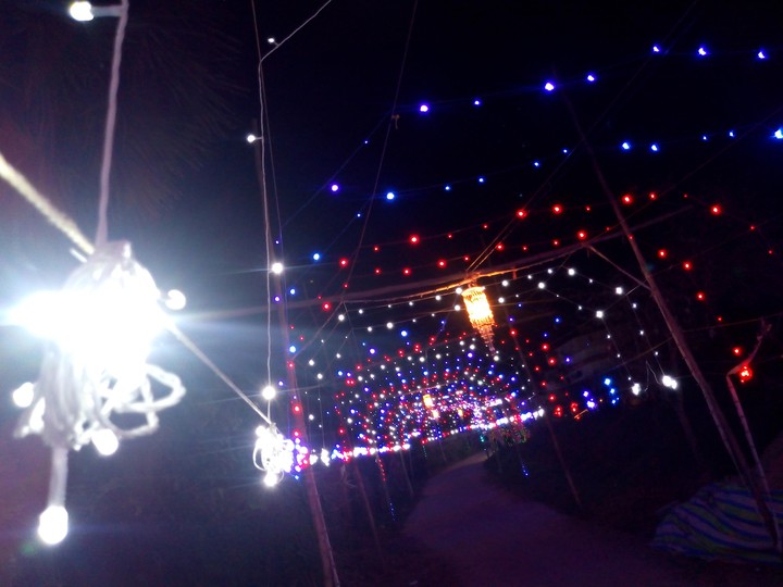 lights