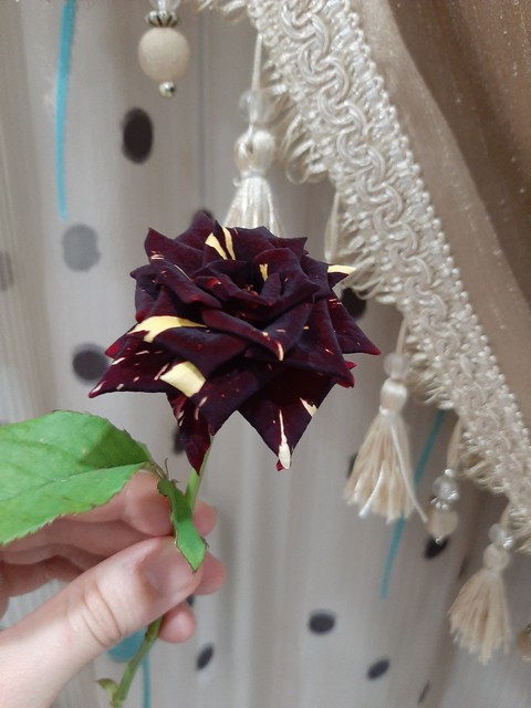 classy flower