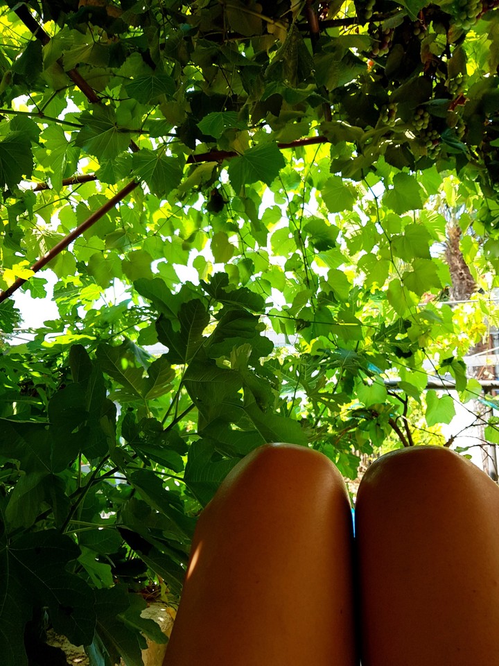 summer