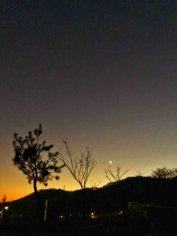 달밤