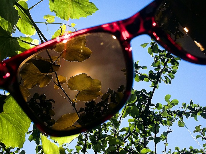 Sunny day
