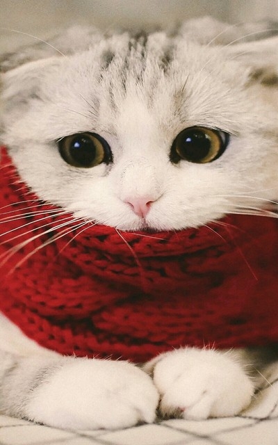 brrrrr koud