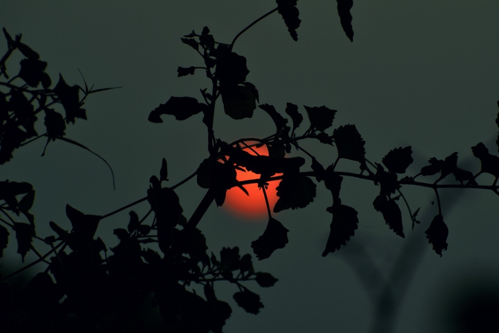 Nature sunlight image