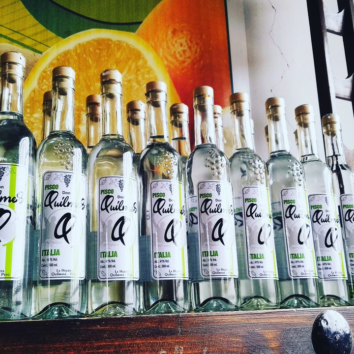 Pisco Don Quilmes