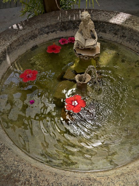 fountain