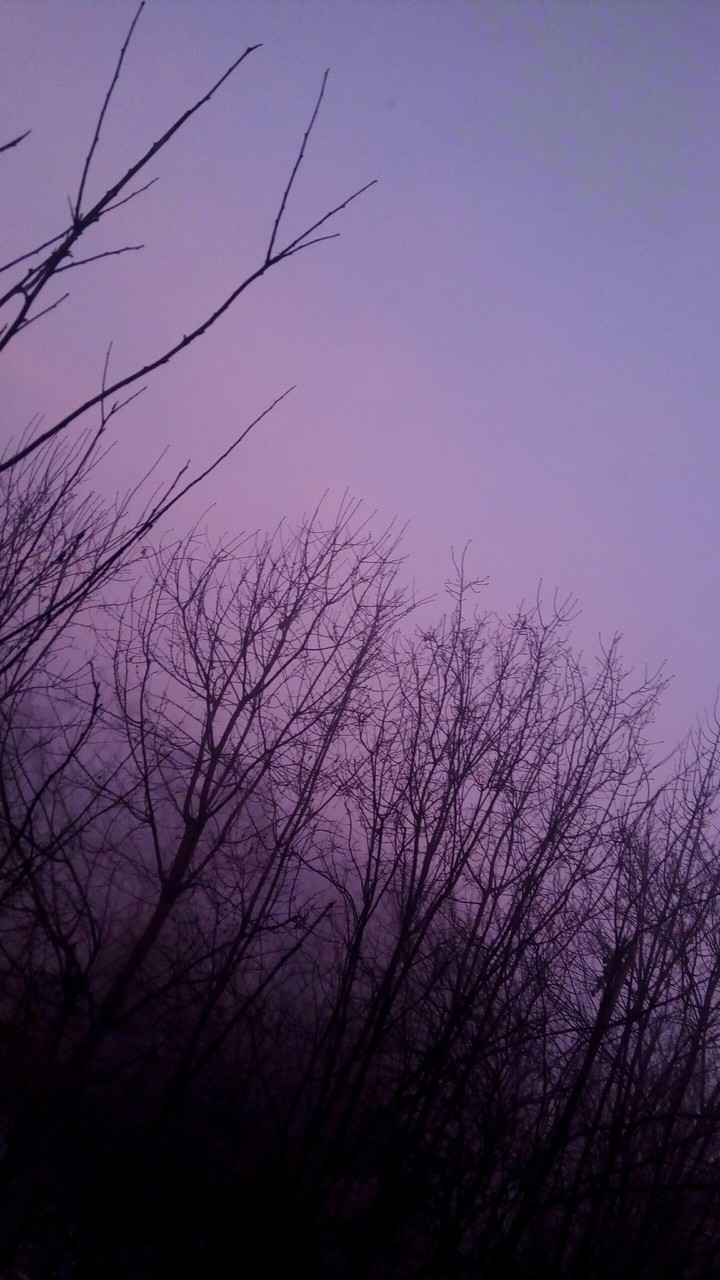 beautiful sky