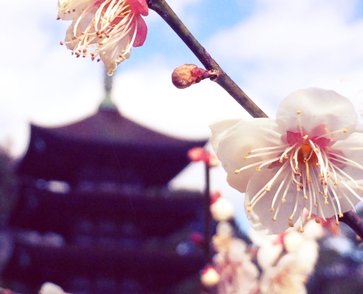 Rurikoji