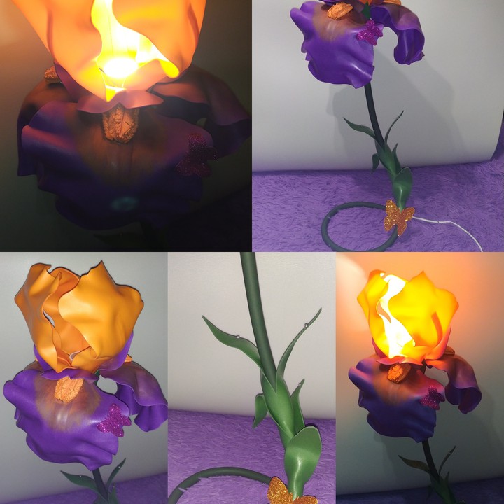 Iris