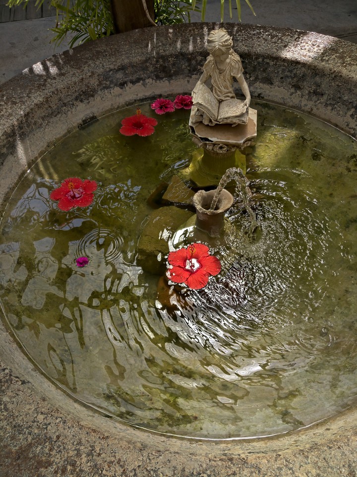 fountain