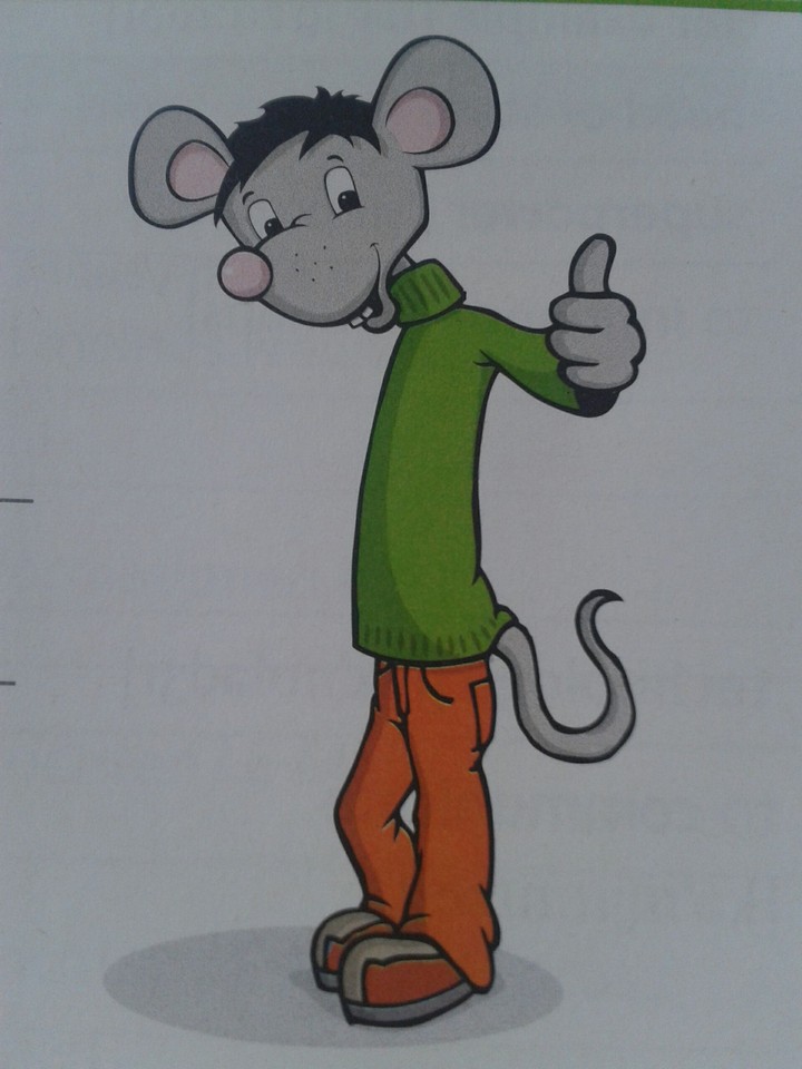 mouse