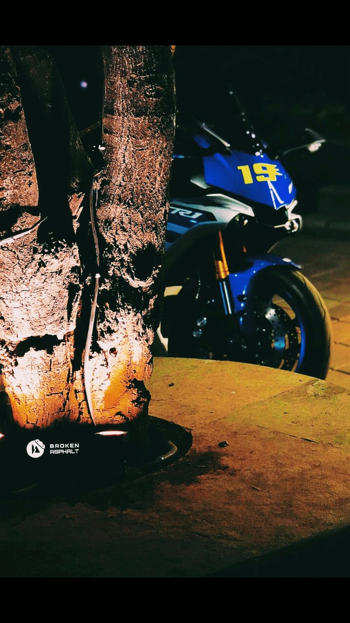 Hidden Behind the Tree