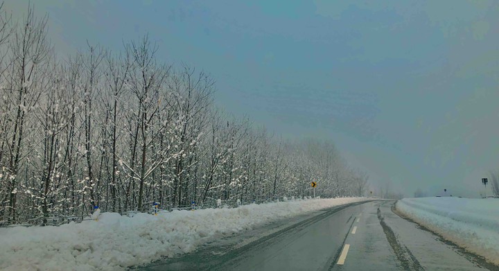 kashmir