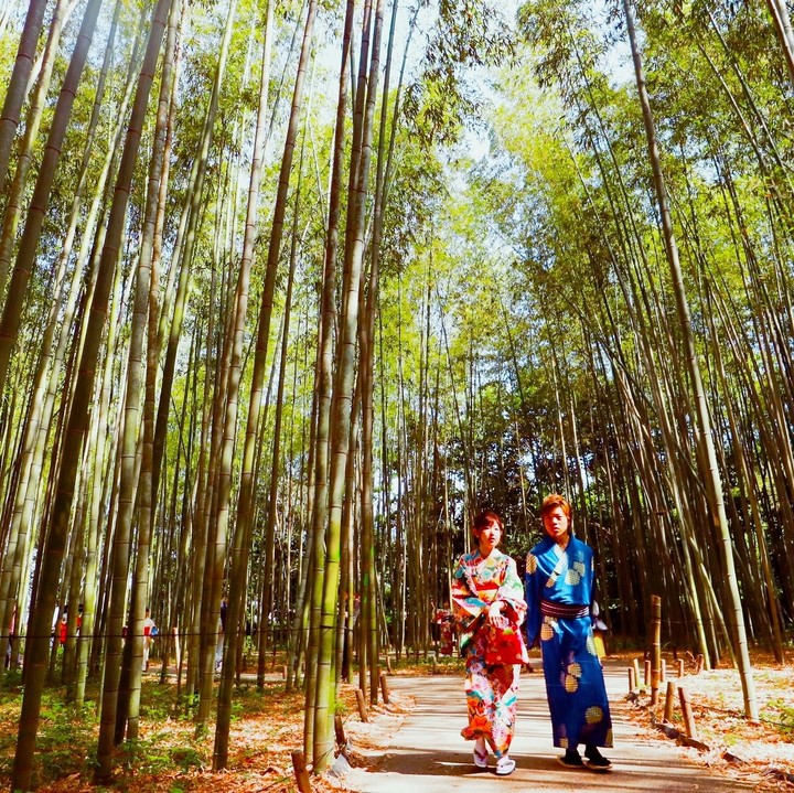 嵐山竹林