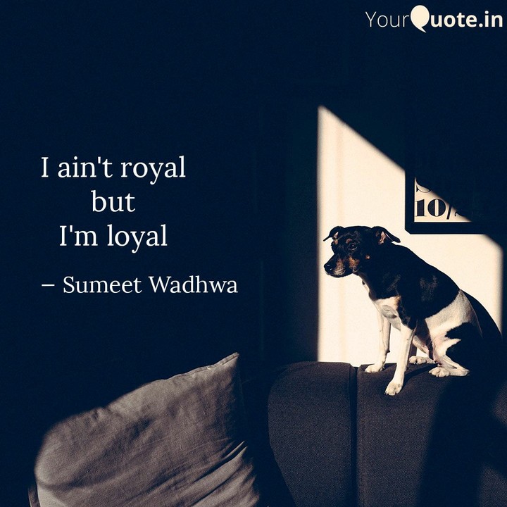 Loyal