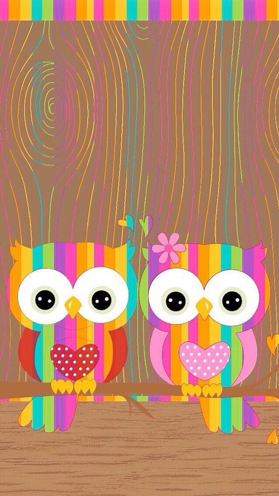 rainbow owls