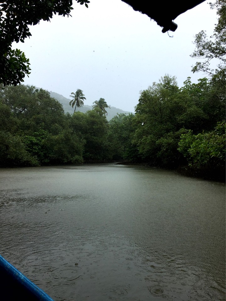 Backwaters Goa