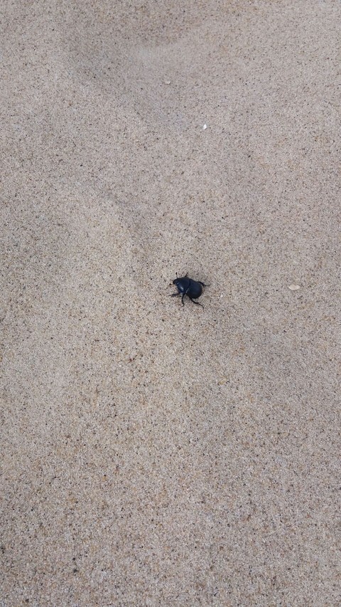 sand