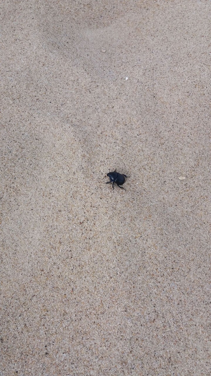 sand
