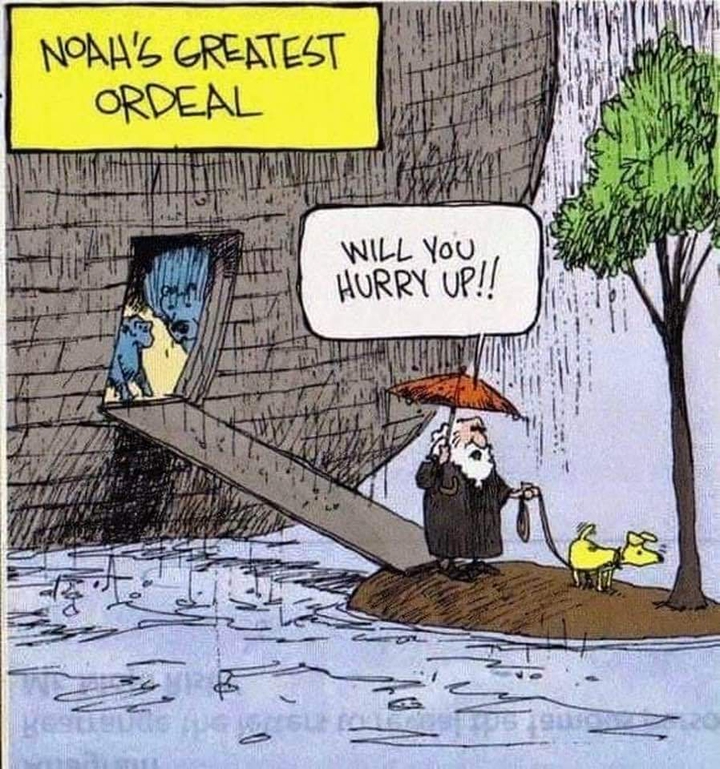 noah's pet