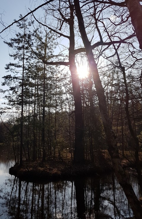 Natur 5