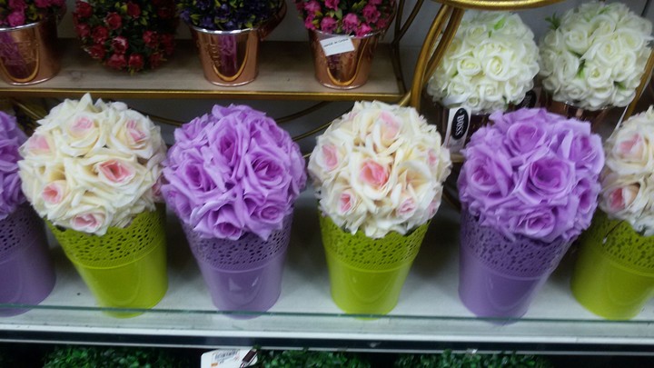 WHITE & PURPLE