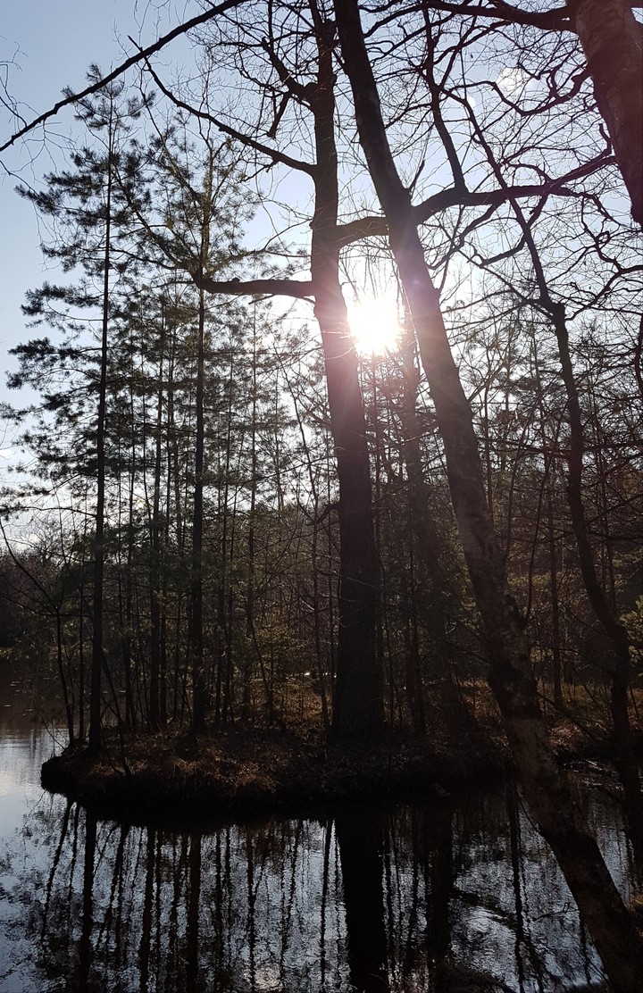 Natur 5