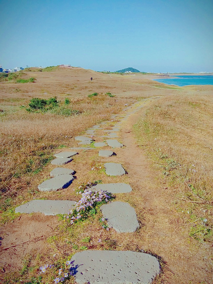 jejudo (island)