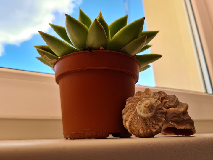summer is coming