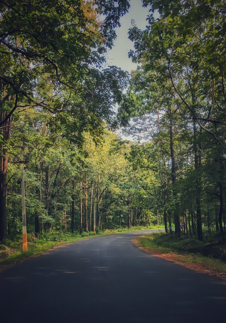 Nature