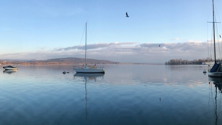 Panoramica