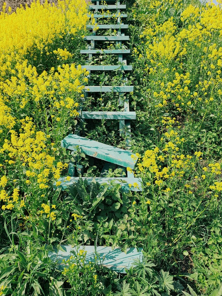 Summer stairs