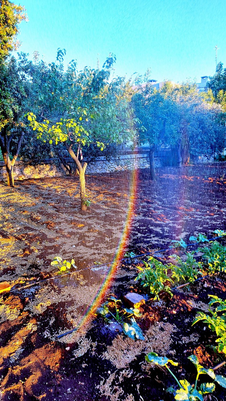 SUMMER RAIMBOW