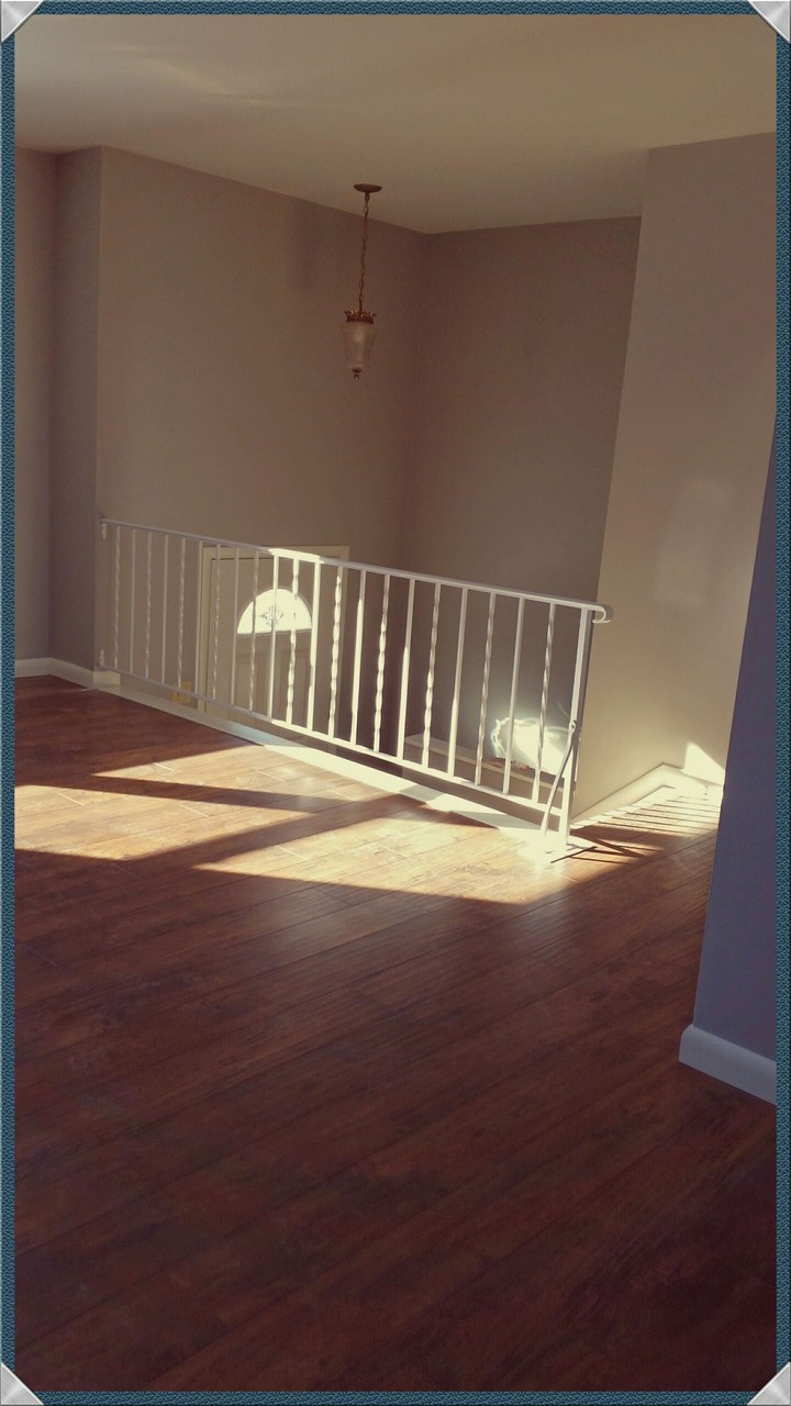 housing at its finest