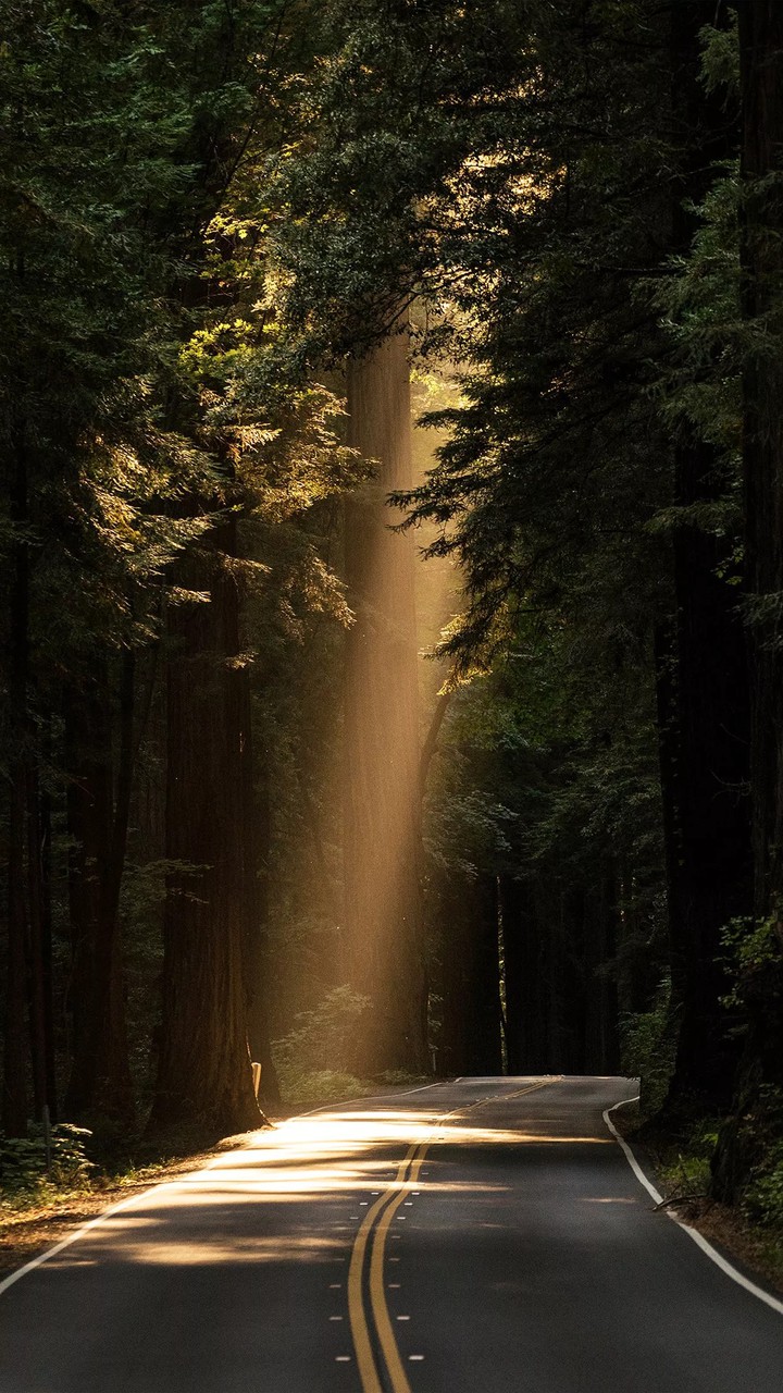 slant of light