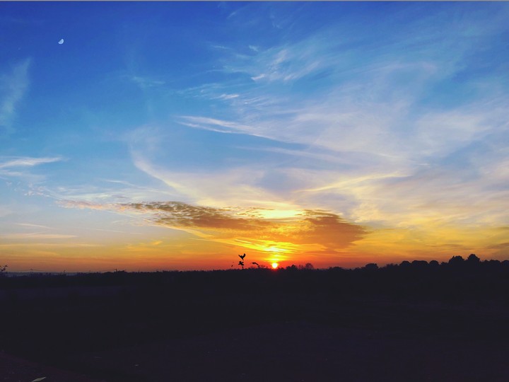 alba