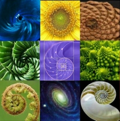 Fibonacci