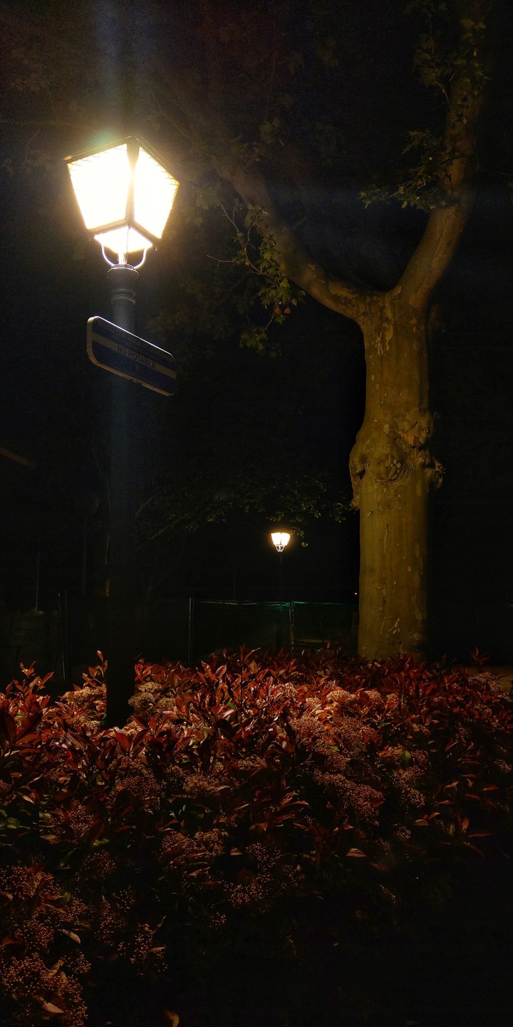 lamp