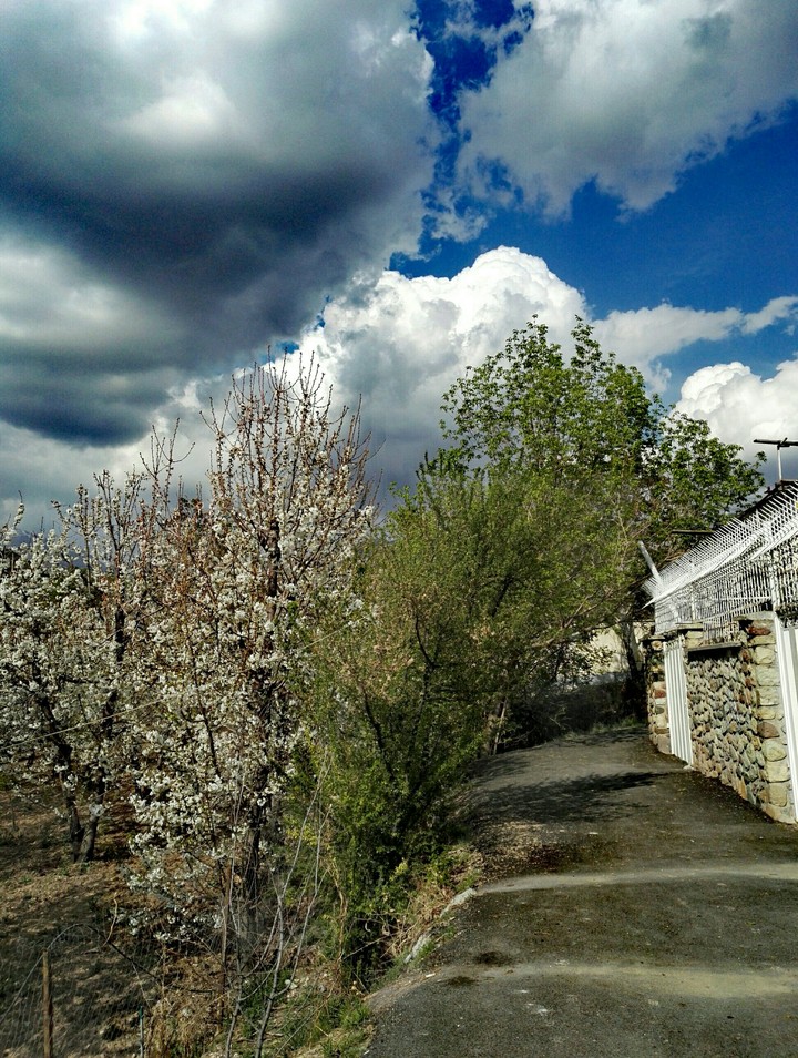 spring