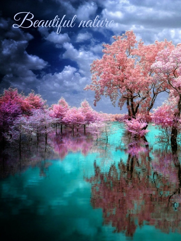 beautiful Nature