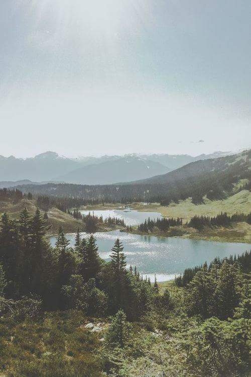 Nature