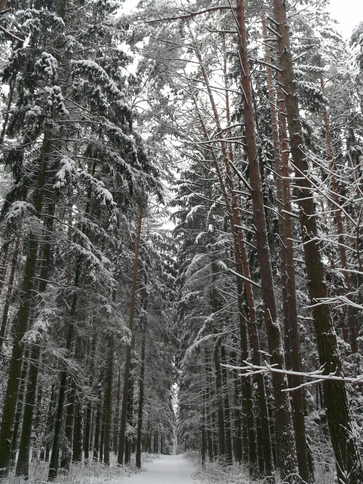 winter