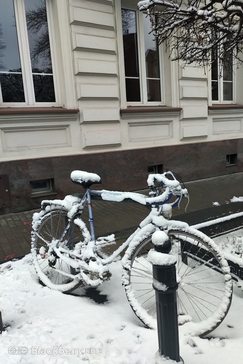 winter