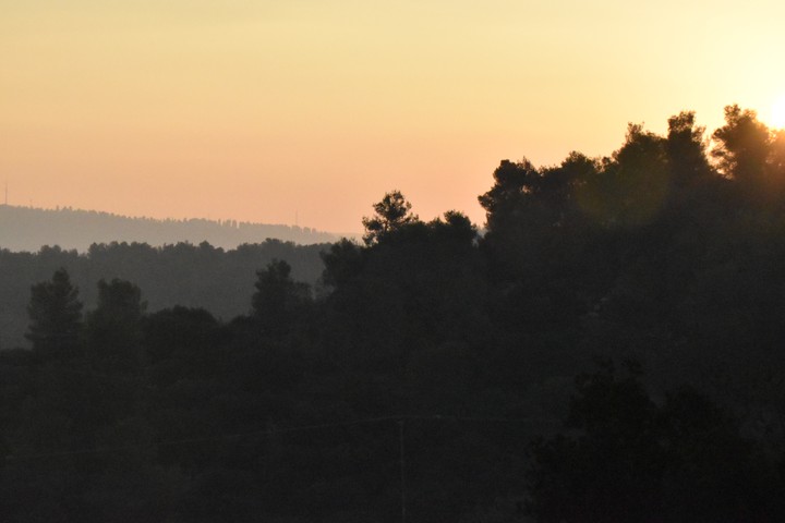 sunrise